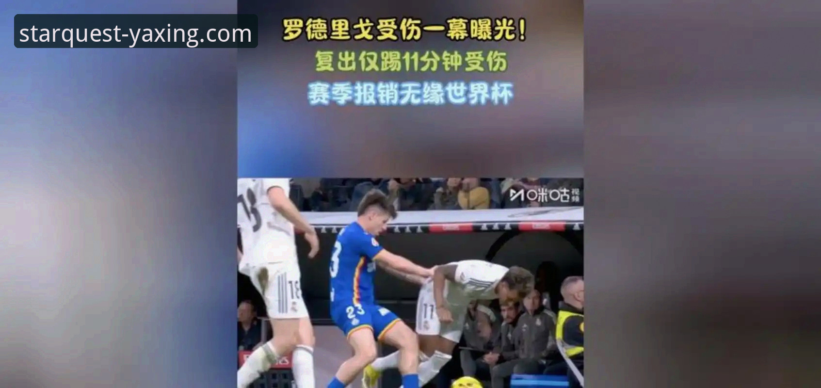 亚星游戏最新活动安卓版 阿根廷新星重伤无缘世界杯,如何通过亚星游戏平台深度解析其战术影响?